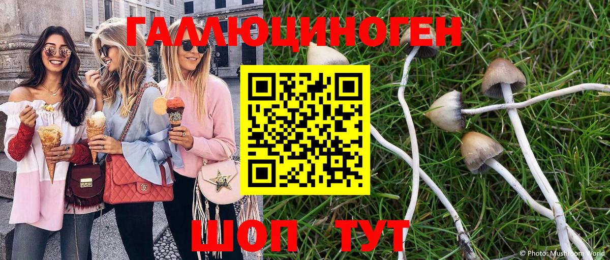 Псилоцибиновые грибы ЛСД Котовск